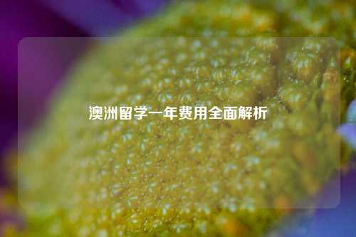 澳洲留学一年费用全面解析